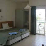 Debbiexenia 4*
